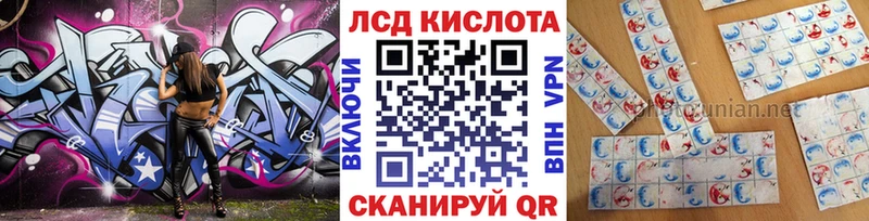 купить  цена  даркнет телеграм  Наркотические марки 1,5мг  Суджа  кракен ТОР 